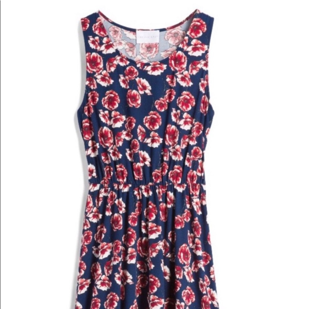 Brand New Evalynn Brushed Knit Dress